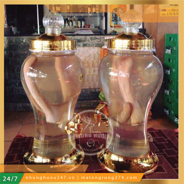 NHUNG HƯƠU NGÂM RƯỢU
